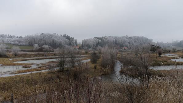 Naturschutzgebiet  Auried Kleinbösingen im Winter 