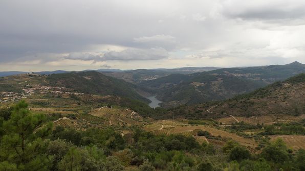 Mit dem Auto von Porto dem Douro entlag