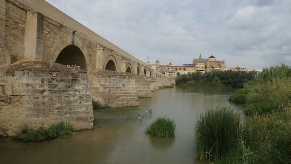 Cordoba