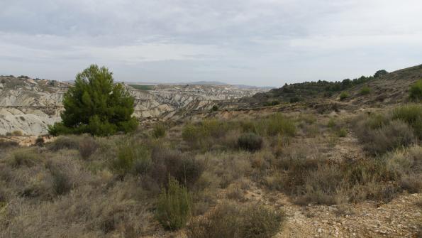  Mirador Barrancos de Gebas Murcia