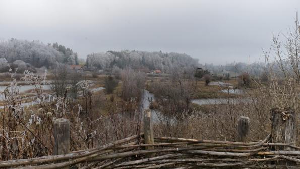 Naturschutzgebiet  Auried Kleinbösingen im Winter 