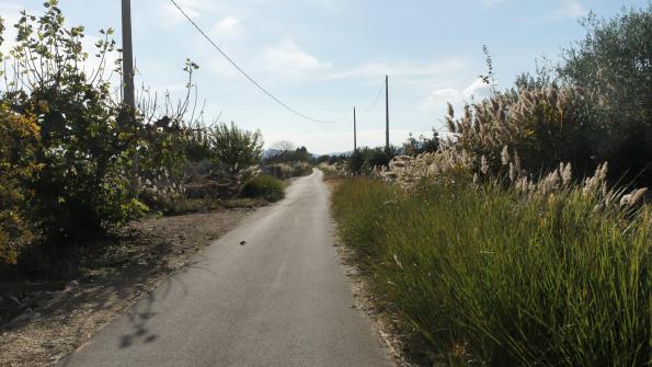 mit dem Fahrrad nach Torreblanca