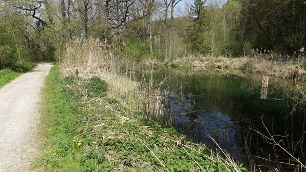 Wander - Radweg der Saane entlag Laupen-Gümmenen