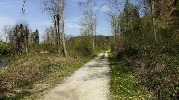 Wander - Radweg der Saane entlag Laupen-Gümmenen
