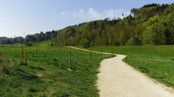 Hangstrasse Wileroltigen 