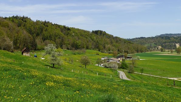Saanesteg mit dem E-Bike richtung Ferenbalm