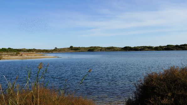 Llac del Pujol