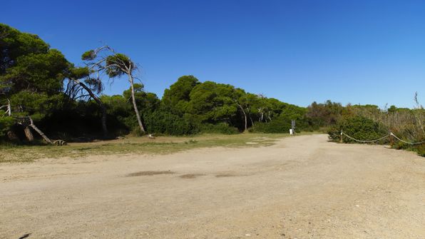 Wander und Fahrradwege durch PinienwälderWander zum Llac del Pujol
