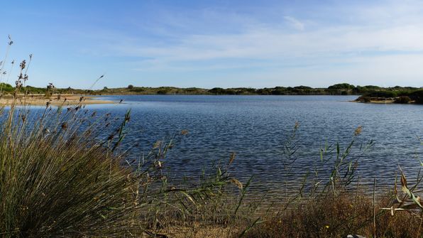 Llac del Pujol