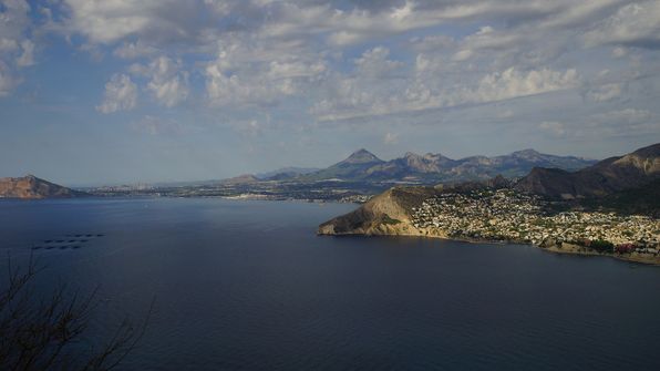 Calp
