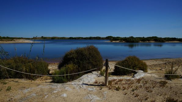 Estany del Pujol Valencia