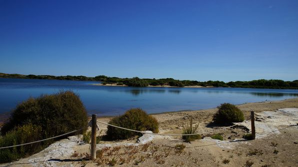 Valencia, Estany del Pujol