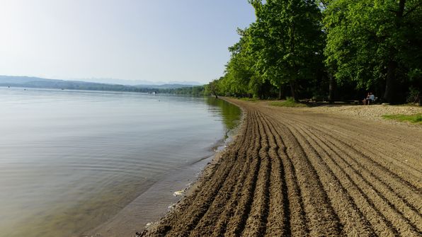 Murtensee Umrundung mit dem Kayak