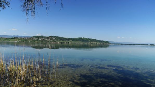 Murtensee Umrundung mit dem Kayak