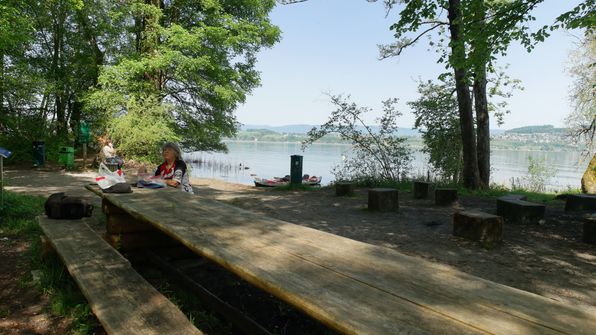 Murtensee Umrundung mit dem Kayak