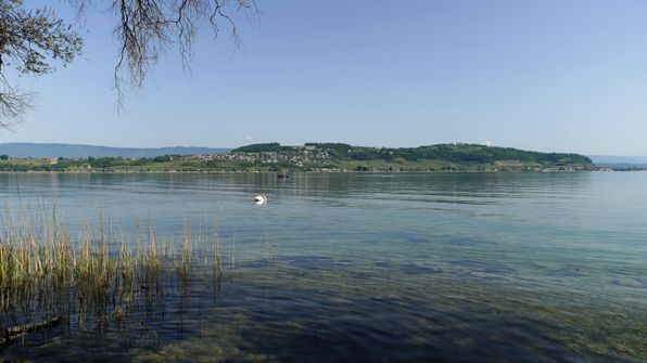 Murtensee Umrundung mit dem Kayak