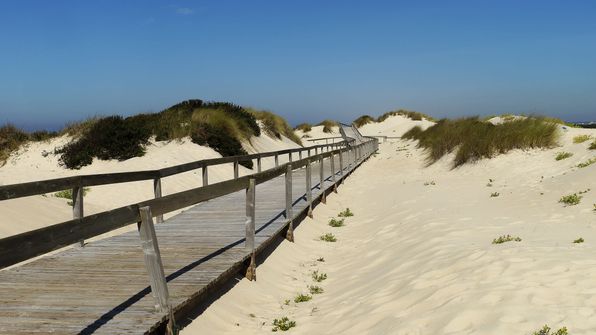 Sehr schöner Strand Praia do Areão