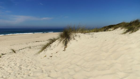 Sehr schöner Strand Praia do Areão