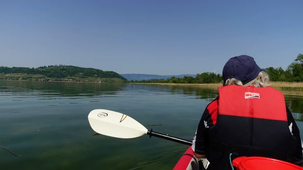 Murtensee Umrundung mit dem Kayak