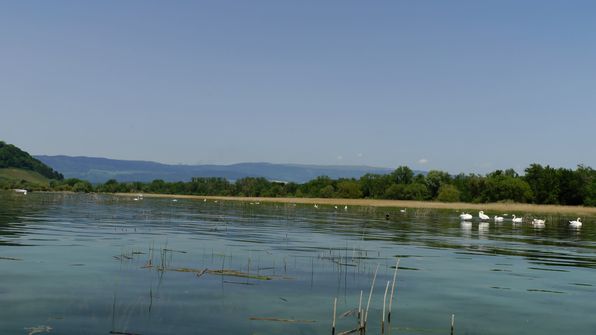 Murtensee Umrundung mit dem Kayak