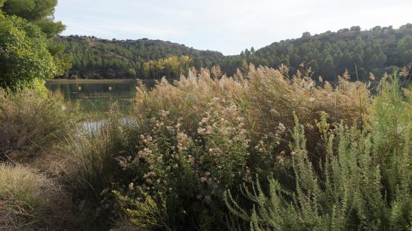 Naturpark Lagunas de Ruidera