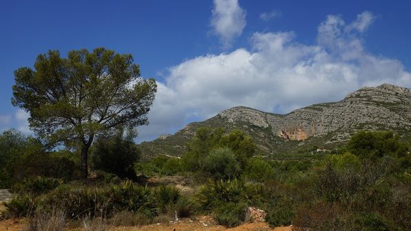 Oropesa del Mar Spanien