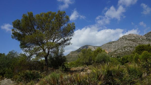 Oropesa del Mar Spanien
