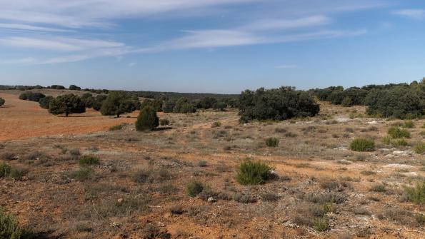 Naturpark Lagunas de Ruidera 