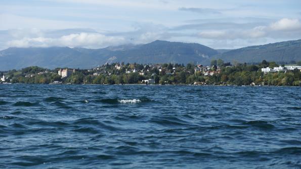 Sind mit dem Row on Air Kayak über den Neuenburgersee