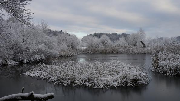 Naturschutzgebiet Auried Kleinbösingen 