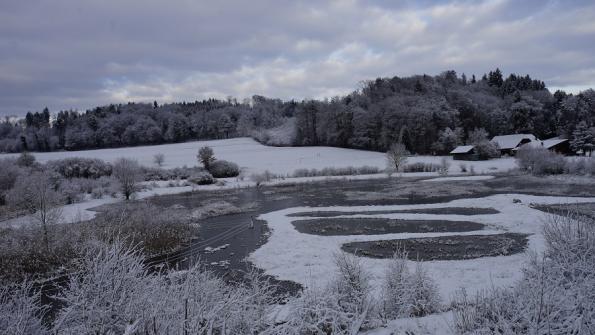 Naturschutzgebiet Auried Kleinbösingen 