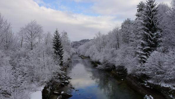 Naturschutzgebiet Auried Kleinbösingen 