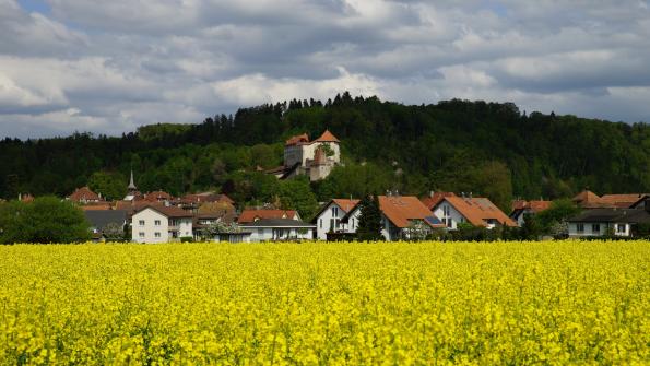 Schloss Laupen 26.4.2018