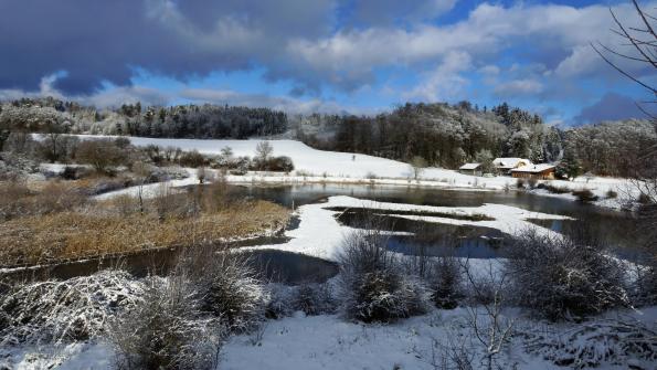 Naturschutzgebiet  Auried Kleinbösingen