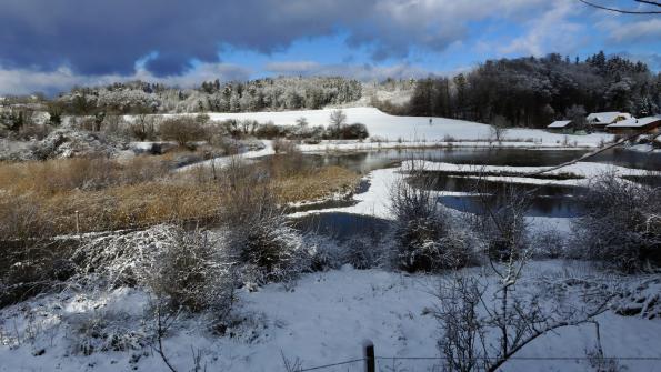 Naturschutzgebiet  Auried Kleinbösingen