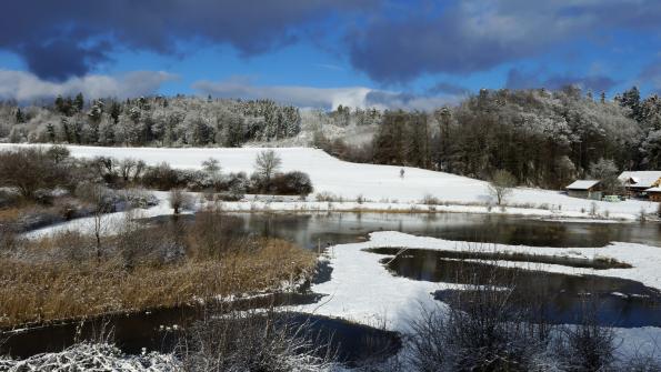 Naturschutzgebiet  Auried Kleinbösingen im Winter 