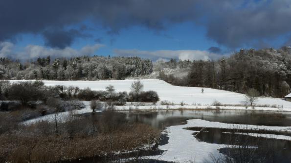 Naturschutzgebiet Auried Kleinbösingen