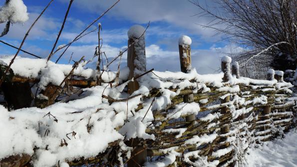 Naturschutzgebiet Auried Kleinbösingen