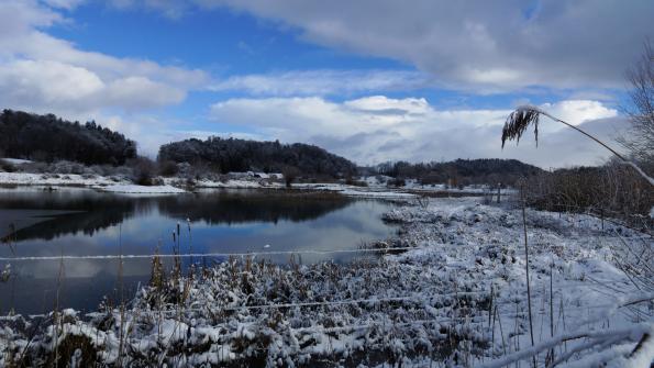 Naturschutzgebiet Auried Kleinbösingen