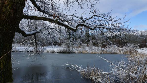 Naturschutzgebiet Auried Kleinbösingen