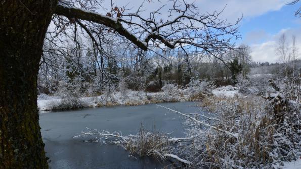 Naturschutzgebiet Auried Kleinbösingen