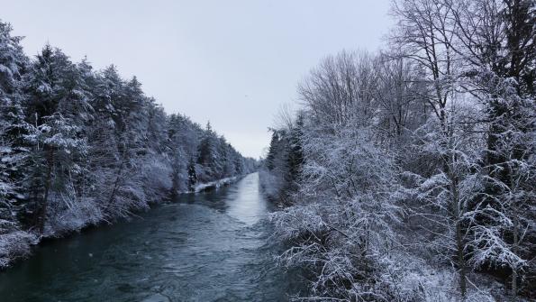 Naturschutzgebiet Auried Kleinbösingen