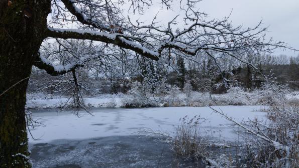 Naturschutzgebiet Auried Kleinbösingen