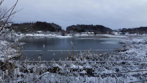 Naturschutzgebiet Auried Kleinbösingen