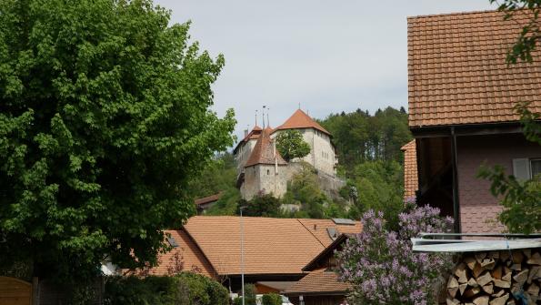 Schloss Laupen 
