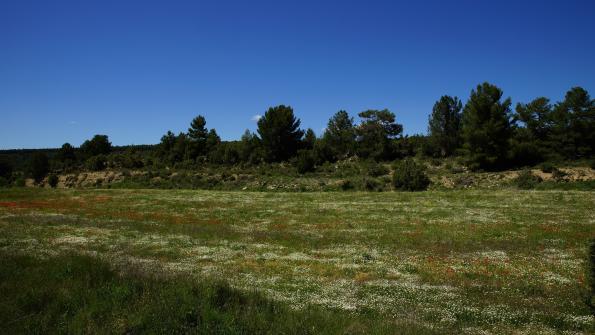 Aras de los Olmos Spanien