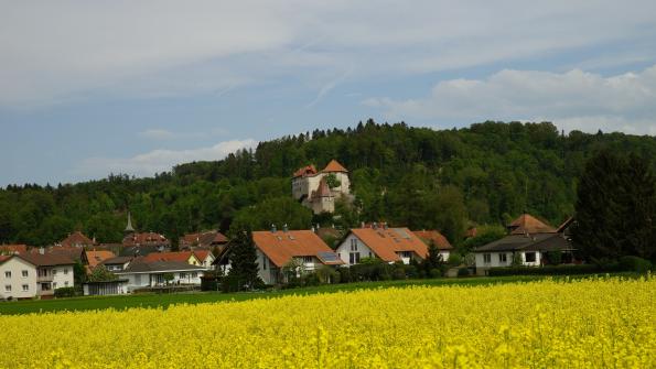Schloss Laupen 