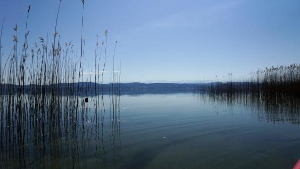 Murtensee