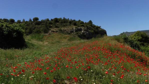 Aras de los Olmos Spanien