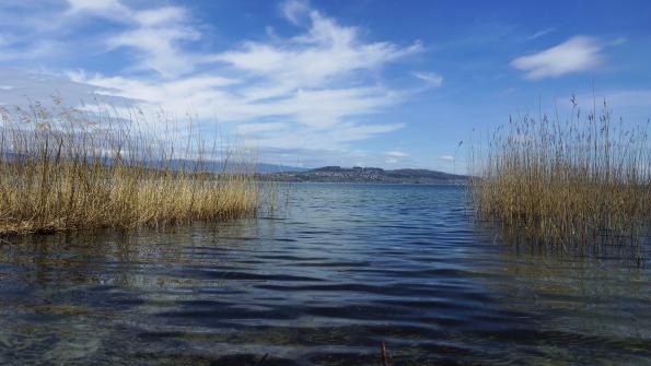 Murtensee